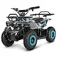 36V 500W Electric ATV Dirt Quad